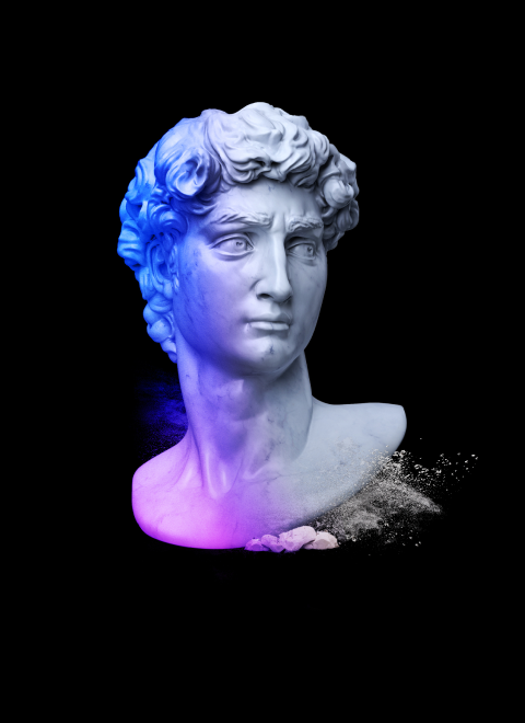 Torso