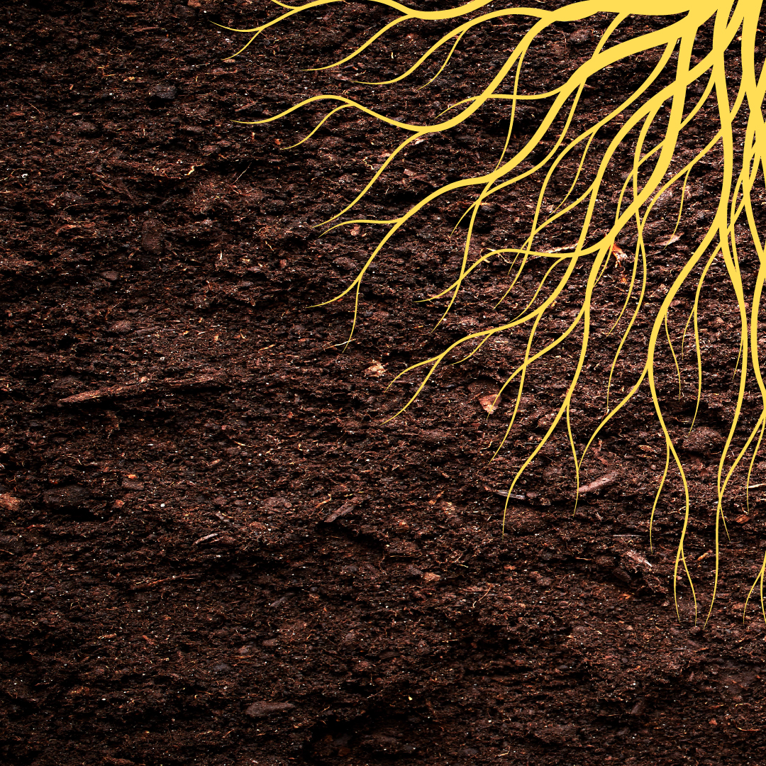 RMP 30th Thumbmail.jpg