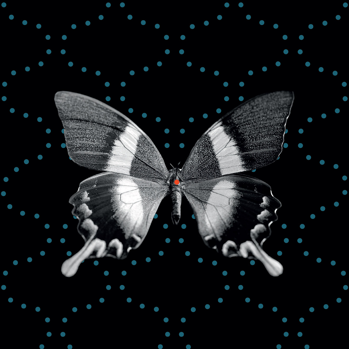 ButterflyDots.jpg